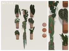 Mithral * Wall Planter Display (Pack B)