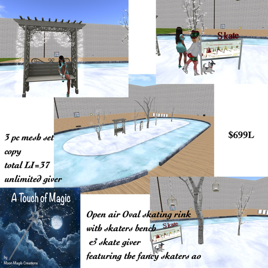 The Open Air Oval skate ring with skate giver-Box