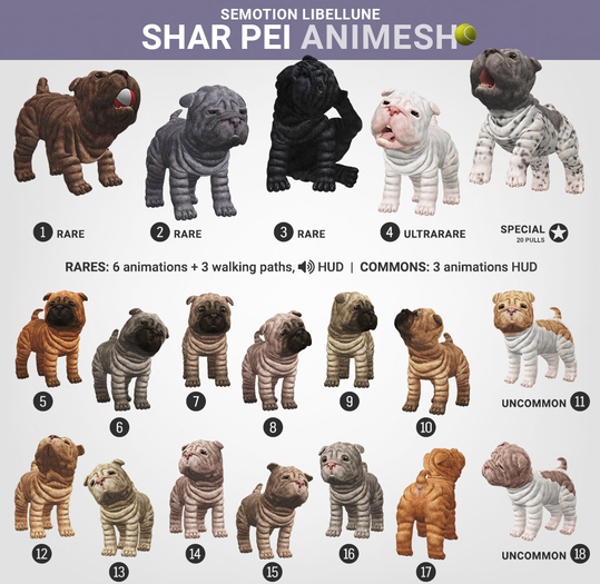 SEmotion Libellune Shar Pei Animesh #12