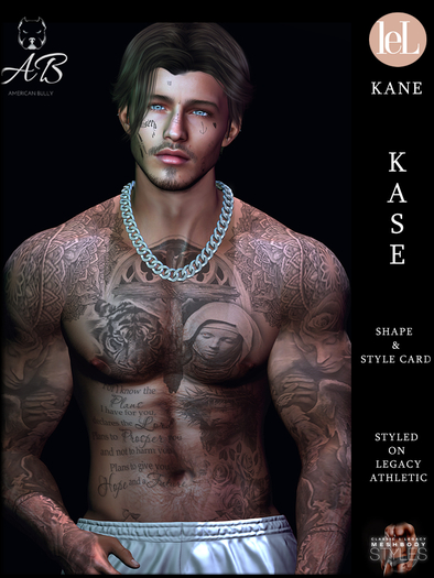 AB-KASE Shape