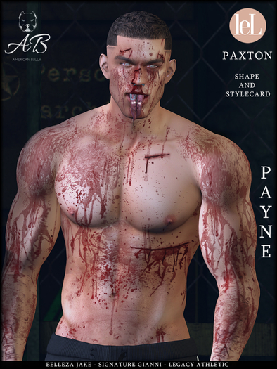 AB-PAYNE Shape