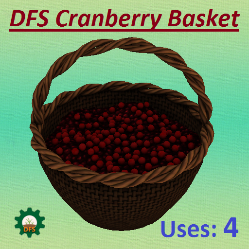DFS Cranberry Basket