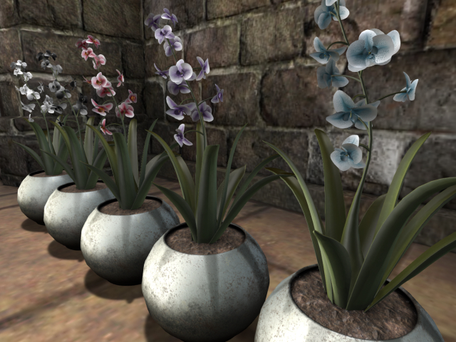 Full PERM Potted Lilly Plant