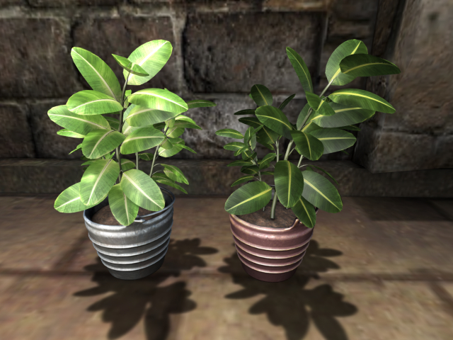 Full PERM Potted Plant in Bucket