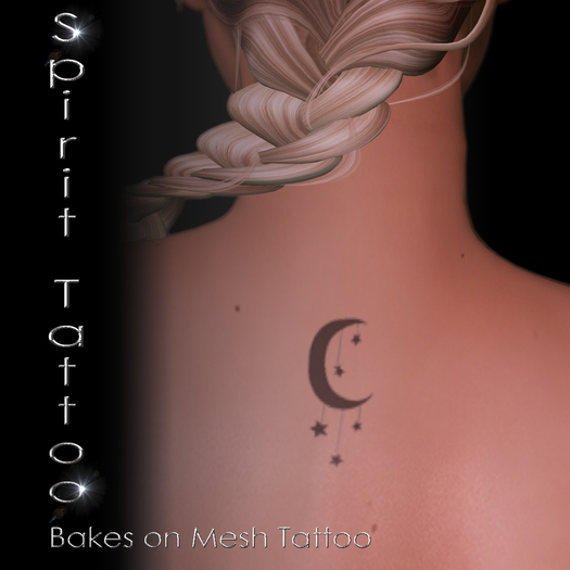 SPT-Moon and stars 2