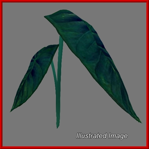 {Papillon} Sl/Sma/Sof/ElD/+/Topaz Plant