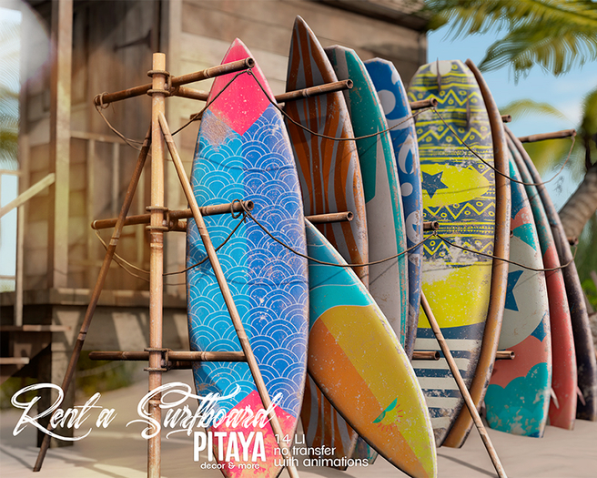 Pitaya - Rent a surfboard