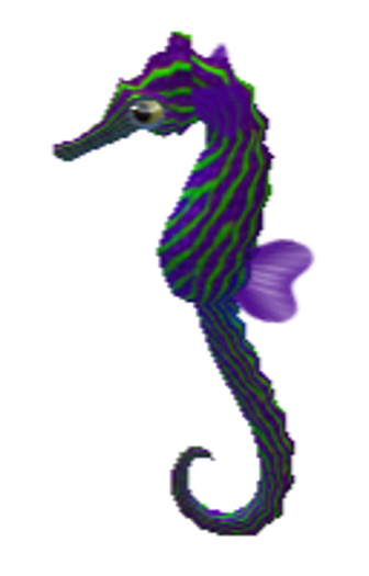 (7S) Uncommon Fish: Purple Heart Seahorse