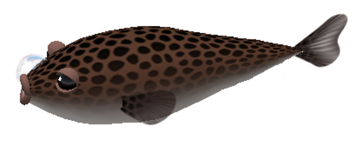 (7S) Uncommon Fish: Puffer Fish