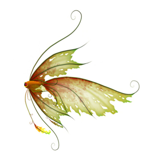 (7S) Uncommon Fish: Orange Ragged Fish