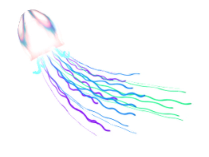 (7S) Uncommon Fish: Multicolor Jellyfish