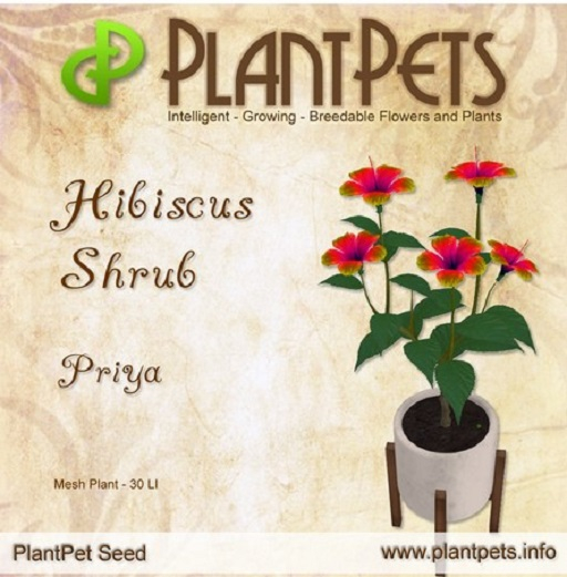PlantPet Seed [Hibiscus Shrub *Priya*] Rare