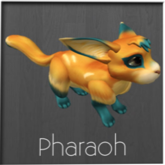 Meeroo Nest: {D} Pharoah Female Capri Clear 5T Shy Giant 