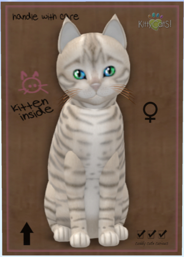 KittyCatS Box - Toyger - Snow