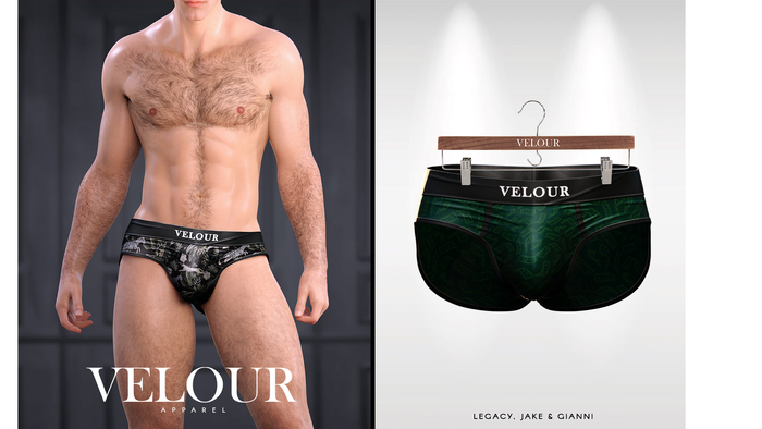 VELOUR APPAREL: "Lucas" Briefs (Money)