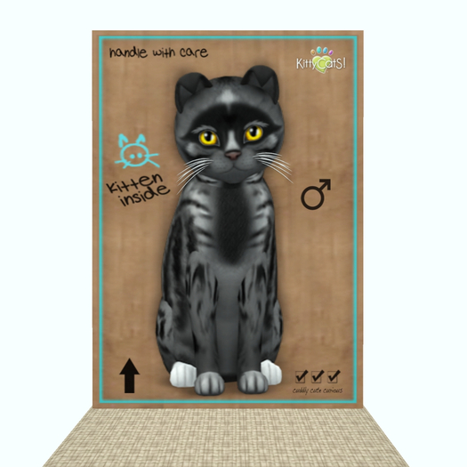 KittyCatS Box - Genesis - Smokey V
