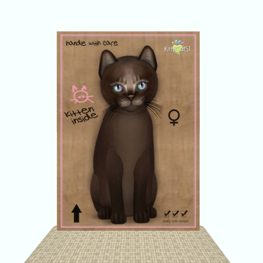 KittyCatS Box - Abyssinian - Dark Chocolate