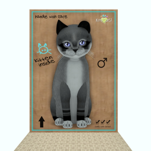 KittyCatS Box - Foxie - Argyle