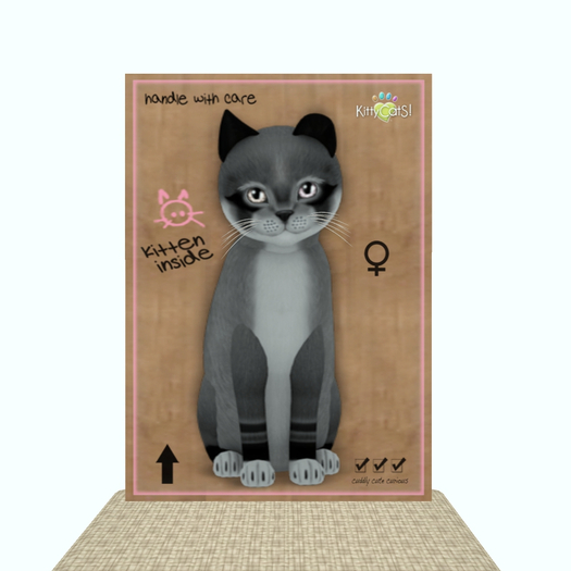 KittyCatS Box - Foxie - Argyle