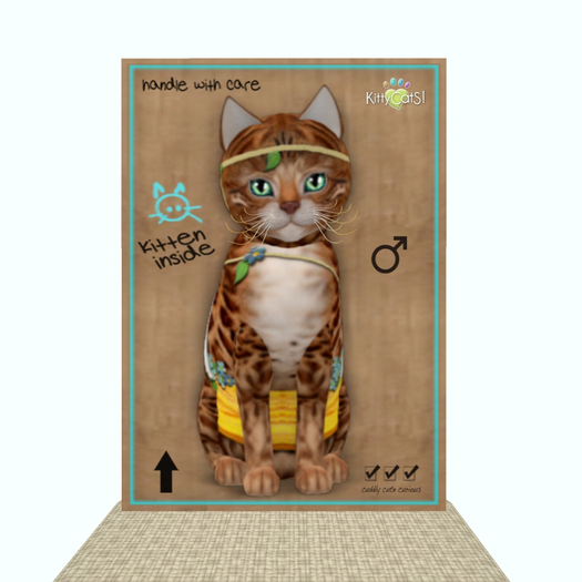 KittyCatS Box - CupidCatS! - Smitten Kitten - Boy