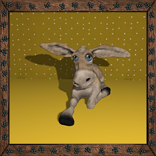 Cica's donkey 8 (box)