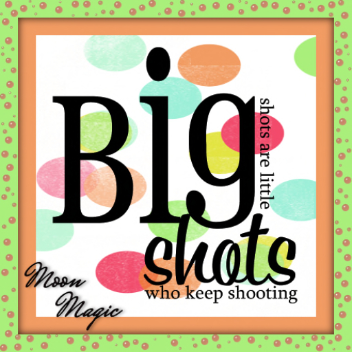 BB-Big Shots Decal
