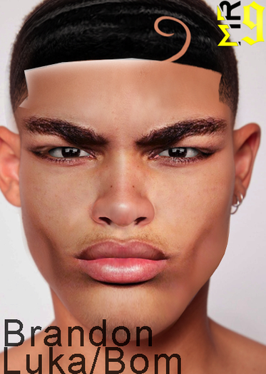 Brandon Skin