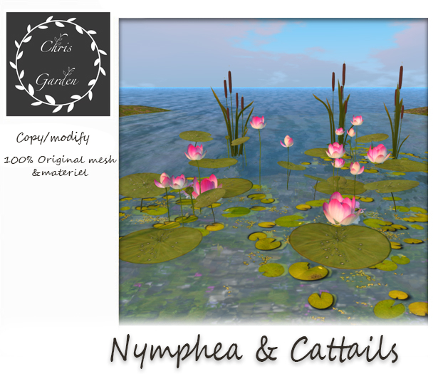 C*Nymphea and cattails