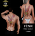 Fenix%20vendor