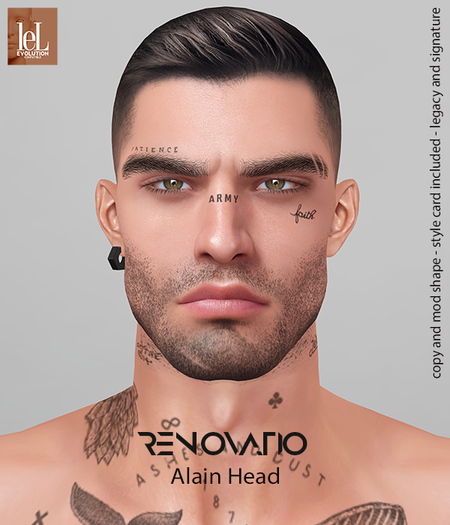 RENOVATIO Evo Don Shape