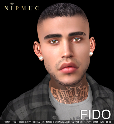 [N] Fido Shape