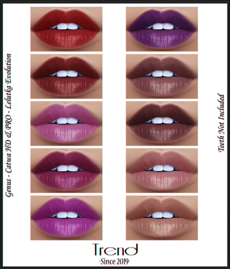 TREND - Anne Lip Gloss - Fatpack