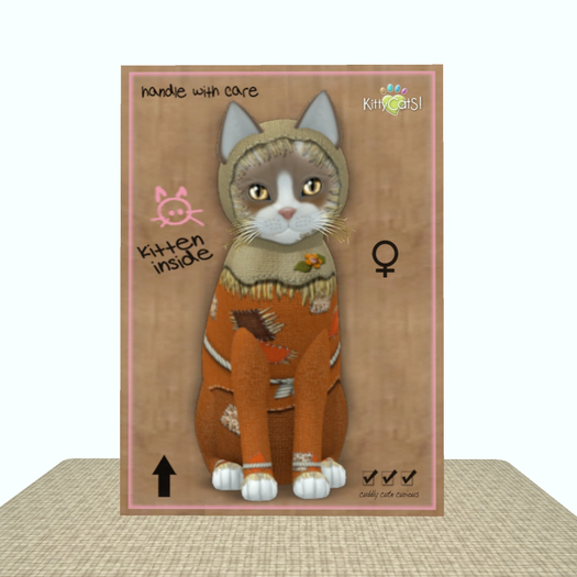 KittyCatS Box - ScareCrowS! - Pumpkin Patch Girl