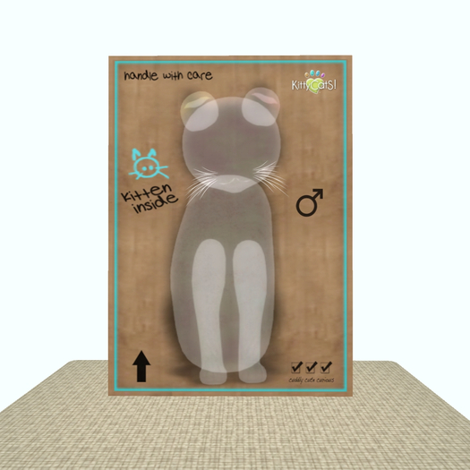 KittyCatS Box - Silly SpOOkS! - Skelebow