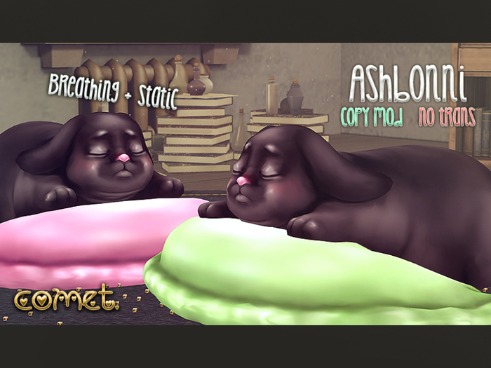 + Ashbonni +