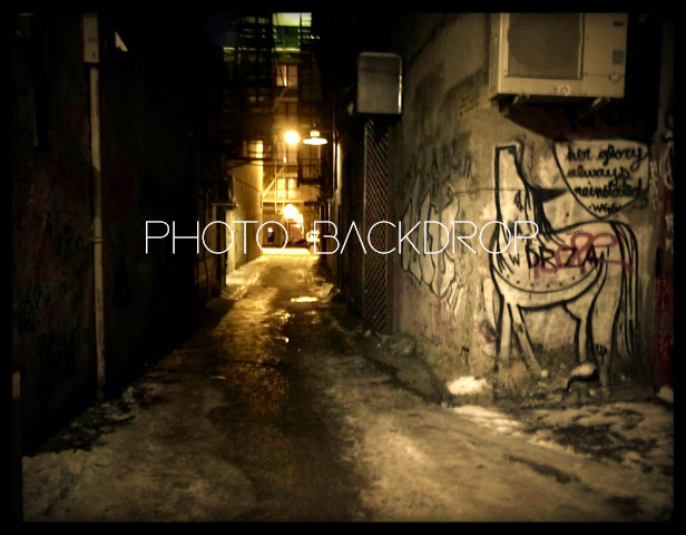 [AE] Photo Backdrop - Urban Alley 12