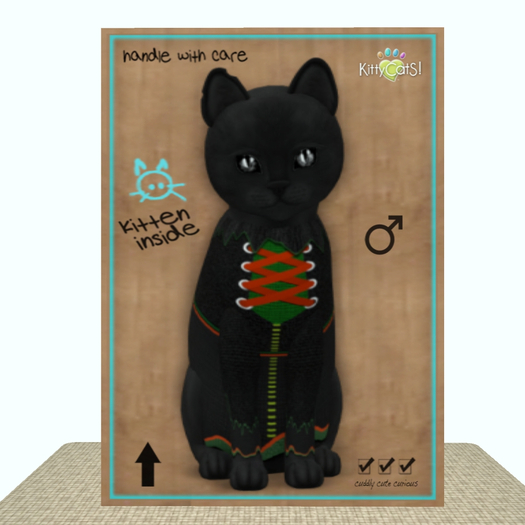 KittyCatS Box - CostumeParty! - Wild Wild Witch - Boy