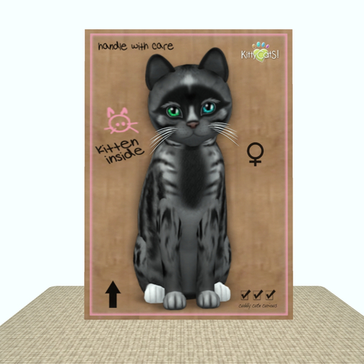 KittyCatS Box - Genesis - Smokey V