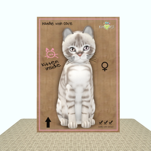 KittyCatS Box - Australian Mist - Blue Marble