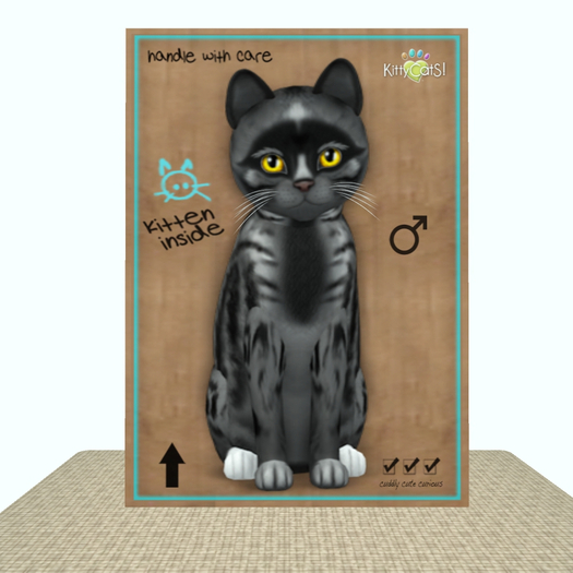 KittyCatS Box - Genesis - Smokey V