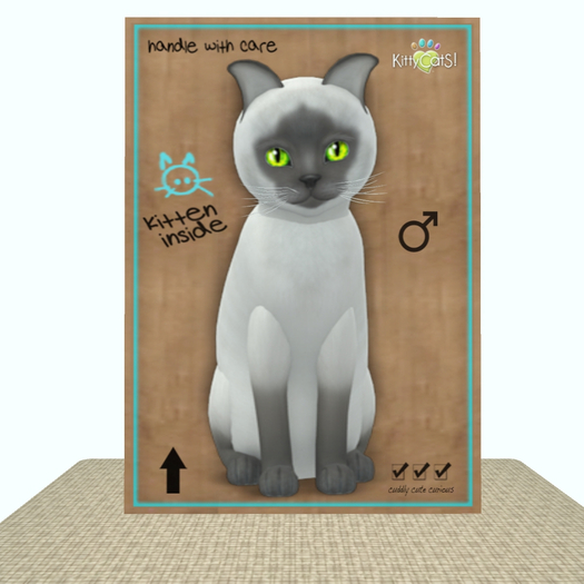 KittyCatS Box - Siamese - Blue