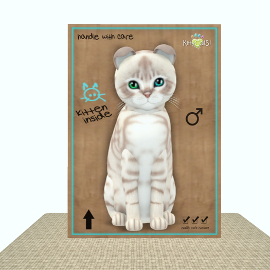 KittyCatS Box - Australian Mist - Lilac Marble