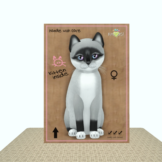KittyCatS Box - Foxie - Salt & Pepper Mask
