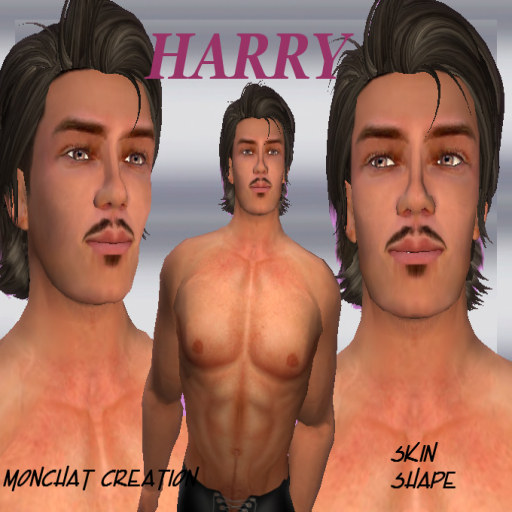 HARRY by Monchat Creation Paris