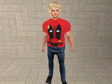 Deadpool/Hey Look! It's My Head-Mesh Mens Shirt