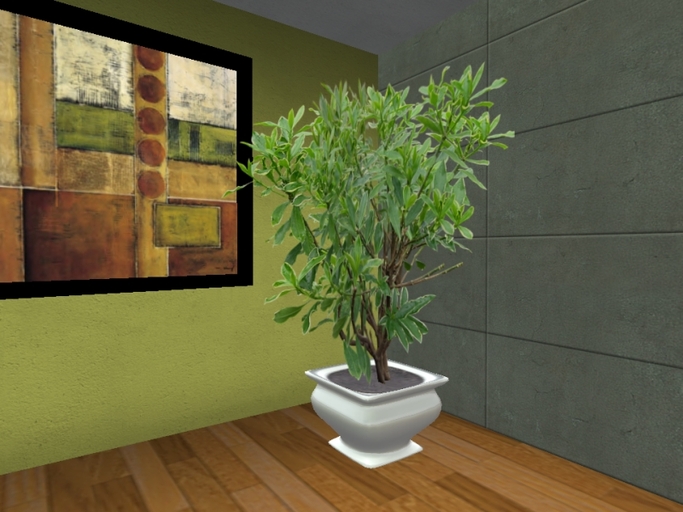 Arkad's Potted Winter Daphne flexi plant medium size