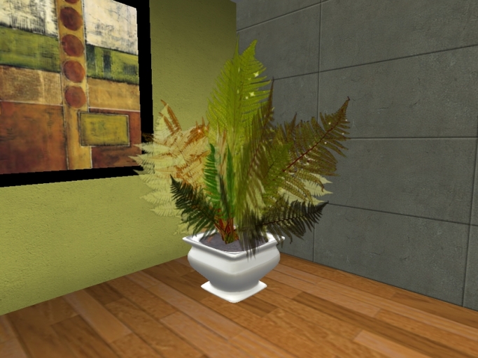 Arkad's 8 colors Potted Catinca's fern flexi plant