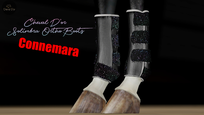 Cheval D'or / TeeglePet Connemara / Solimbra Glittery Boots.