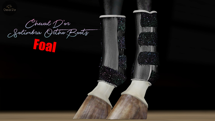 Cheval D'or / TeeglePet Foal / Solimbra Glittery Boots.