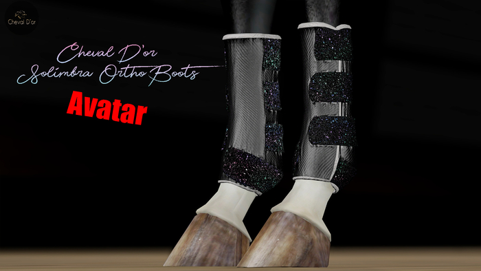 Cheval D'or / Teegle Avatar / Solimbra Glittery Boots.